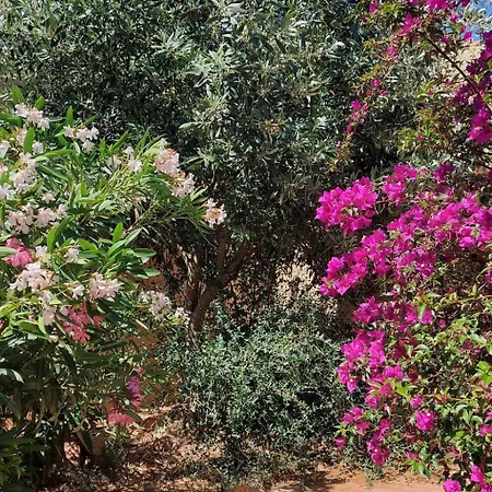 Terrazza Paradiso By Interhome Costa Paradiso